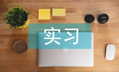 icu實習(xí)個人總結(jié)
