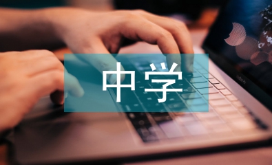 中學政治結合時事政治教學